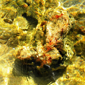 Giorgio Pica, Sotto la superficie,  2012, stampa fotografica su forex, 50 x 75 cm