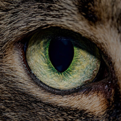 Hube de encontrar situaciones sacadas del infierno para al fin entender que no era bienvenido en su mundo; que solo había sido seducido por este