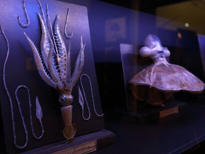 Faszinierende schätze, ausstellungsansicht. Mit freundlicher genehmigung des Naturkundemuseums