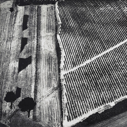 Mario Giacomelli, Presa di coscienza sulla natura, dettaglio, 1976, stampa d’epoca ai sali d’argento, firmata sul retro,30 x 40 cm, ed. vintage, courtesy Archivio Mario Giacomelli – Sassoferrato