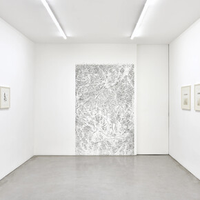 Giuseppe Penone, Envelopper la Terre, exhibition view. Courtesy of Galerie Marian Goodman 