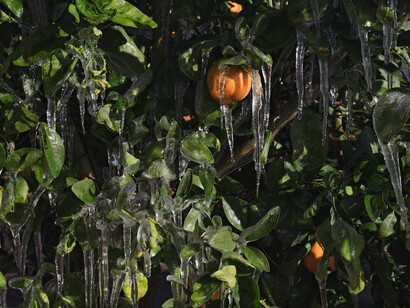 Lucas Foglia. Human Nature. Courtesy of Michael Hoppen Gallery