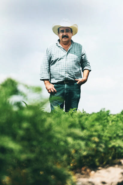 Hombre paseando por el campo