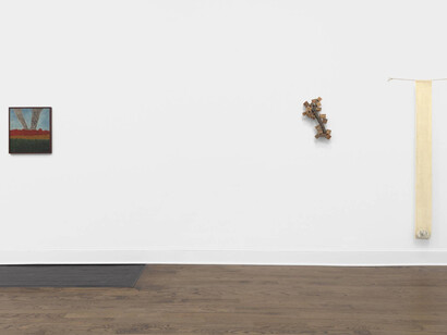 Natura Naturans. Courtesy of Mendes Wood DM
