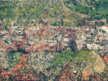 Pattern in Landscape. Courtesy of Front Room