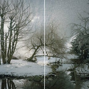 Primož Bizjak, Munich zoo n4 (detail), 2017-2020. Courtesy of Obalne Gallery