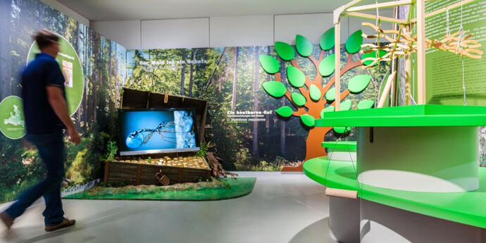 Our Changing Home: 200 Years of the Salzburg Habitat. Courtesy of Haus der Natur