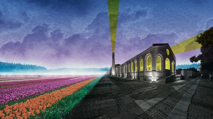 Flowers Festival