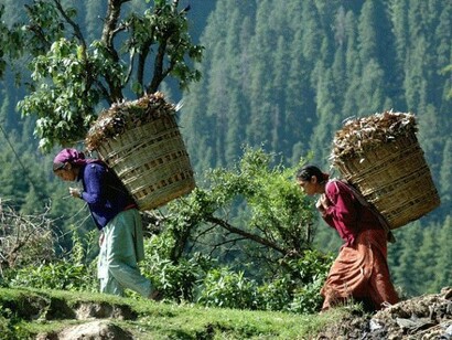 Donne che lavorano i campi in Darjeeling