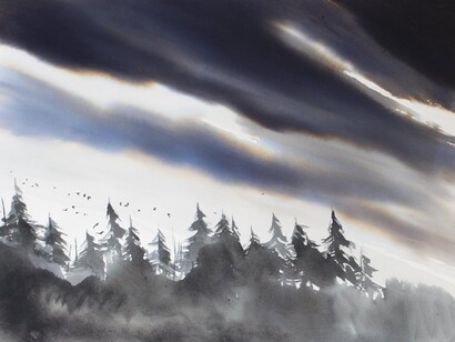 Nicola Magrin, Passi silenziosi nel bosco