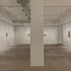 Carole Gibbons, The mythological landscape, exhibition view. Courtesy of Hales Gallery