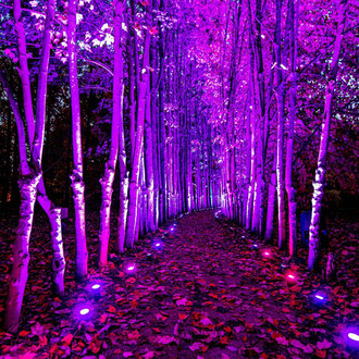 Klip Collective, Time loop, exhibition view. Courtesy of Crystal Bridges Museum of American Art