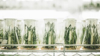 Laboratorio