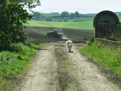 Le campagne stanno invecchiando