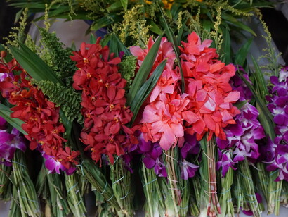 Beautiful flowers. Ph Genevieve Northup