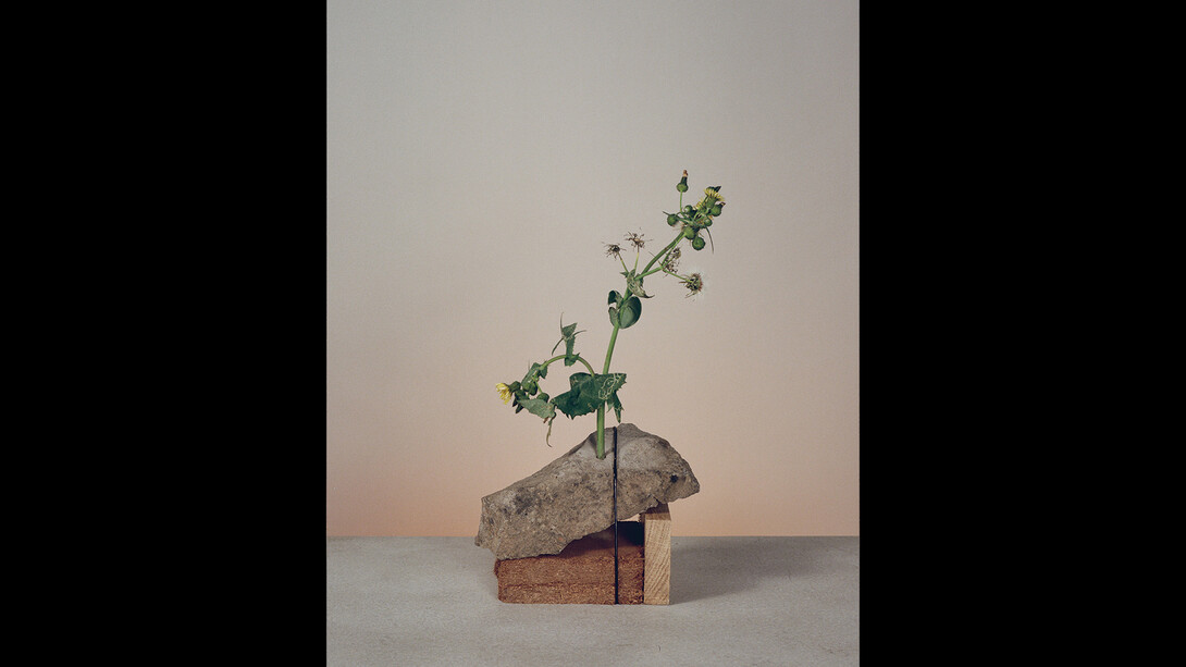 Hardly Together. Courtesy of Fisher Parrish Gallery