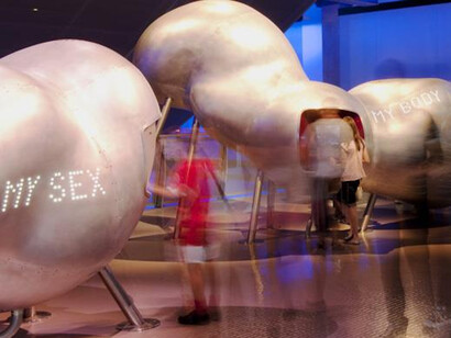 Who Am I? Courtesy of Science Museum 