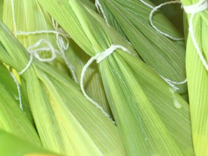 Da pamonha ao empadão, da feira ao restaurante autoral, da simplicidade ao refinamento, a cidade revela sua alma através da comida. Mais do que pratos típicos, a gastronomia goiana é um estilo de vida. É sobre reunir, compartilhar, celebrar e manter viva a essência de um povo acolhedor e orgulhoso de suas raízes