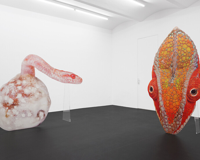 Lemurenheim. Courtesy of Galerie Meyer Kainer 