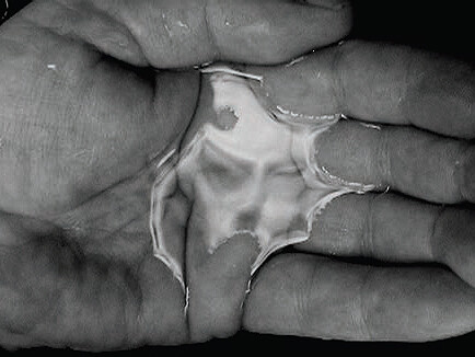Oscar Muñoz, Línea del destino [Line of Destiny], 2006, Single-channel video 4:3, black and white, no sound, 1 min 54 s, Courtesy of the artist