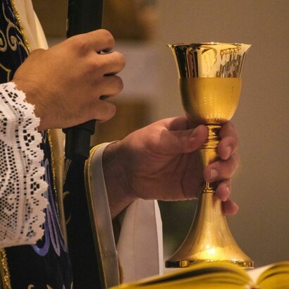 Sorpresivamente, el clérigo australiano le confesó en privado que coincidía totalmente con sus argumentos críticos hacia la Iglesia