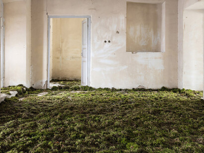 Gohar Dashti. Courtesy of Robert Klein Gallery