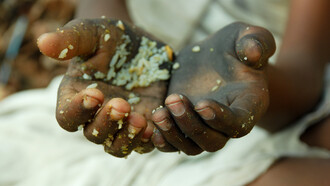 Going hungry in Brazil: a moderate reduction in inequality would be enough to ensure that people live well
