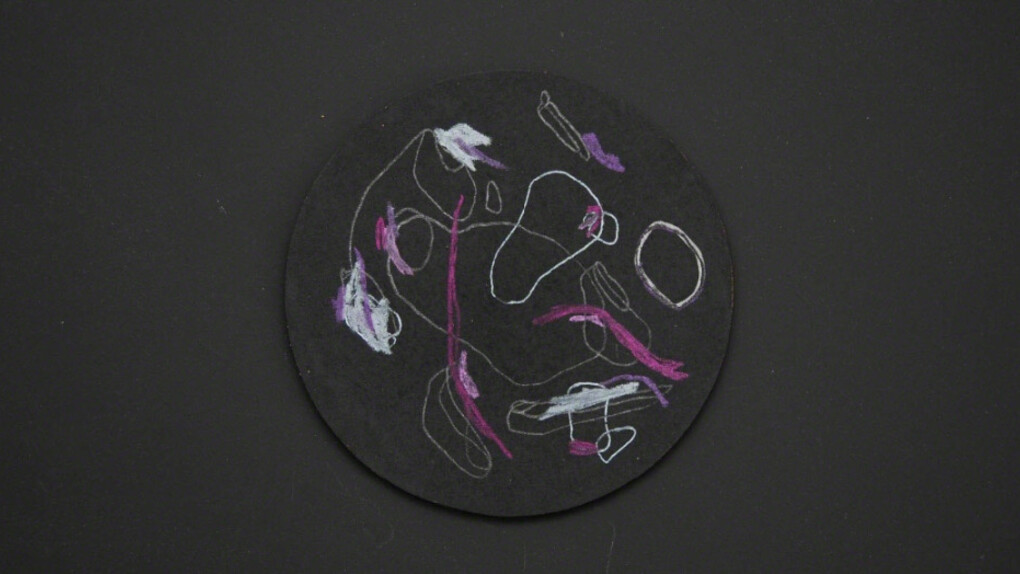 Ana Meneses. Courtesy of Pan American Art Projects