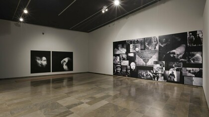 La scomparsa delle lucciole, foto Consorci de Museus de la Comunitat Valenciana