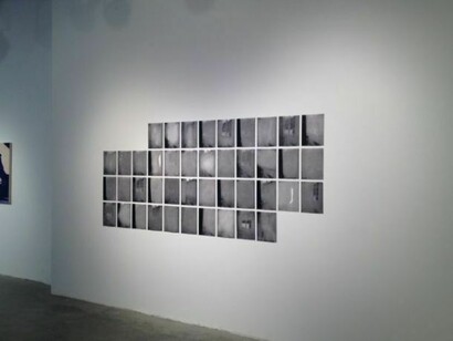 Claudia Peña Salinas, Erhängte (Hanged), 2013