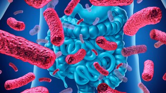 Microbiota intestinale