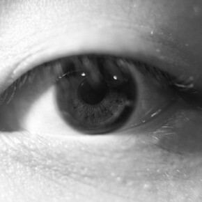 Jess Ching-Wa Lau, Wildlands behind, 2024, artwork in exhibition. Courtesy of Three Shadows Photography Art Centre