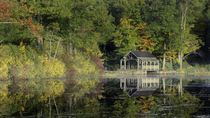 Before all the wind, the rain © Dave Lawler