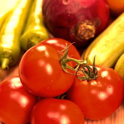 Antioxidantien in der Nahrung, der SCFA Butyrat und komplexe Kohlenhydrate in Ballaststoffen erhöhen die relative Häufigkeit von "A. muciniphila"
