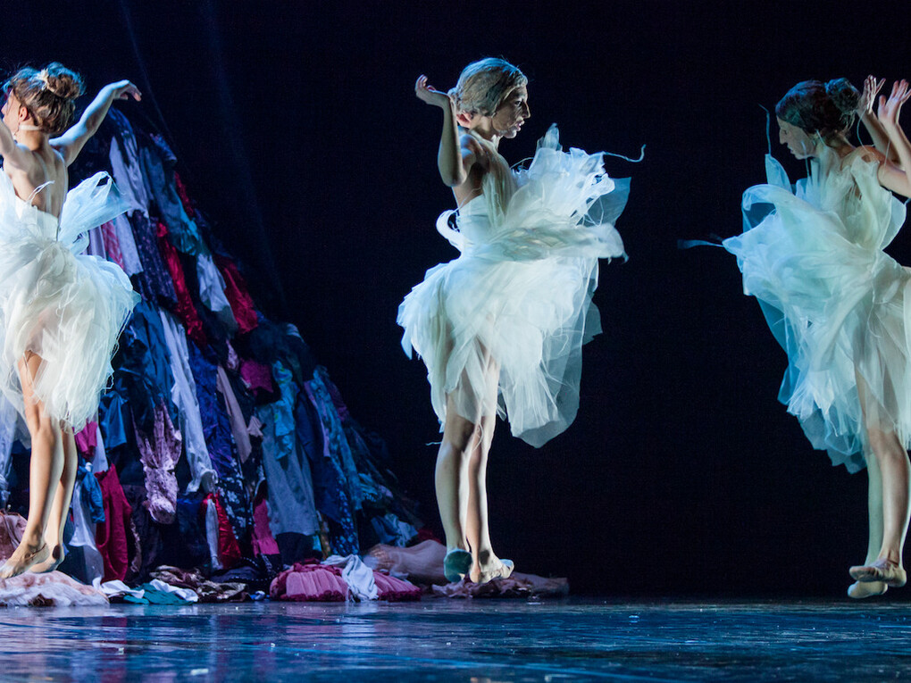 Il lago dei cigni. Foto Gabriele Orlandi