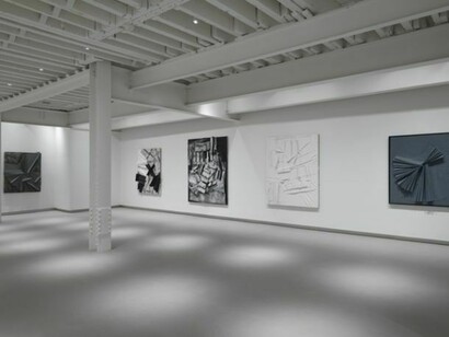 Samantha Thomas, Exhibition view, Landscapification, 2013. Courtesy of the artist and RH Contemporary Art. Photo credit: Adam Reich