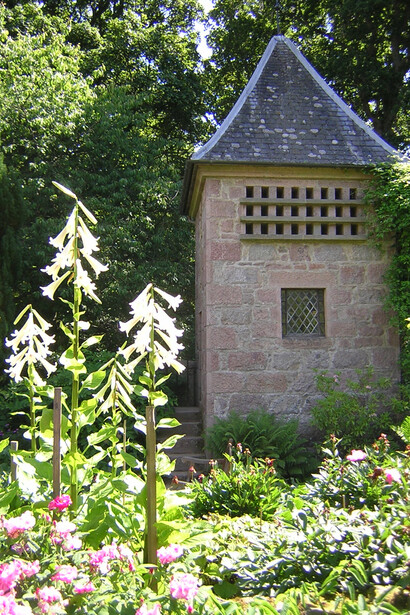 Giardino del Castello di Crathes, Scozia - Torretta - Foto di Simonetta Sandri