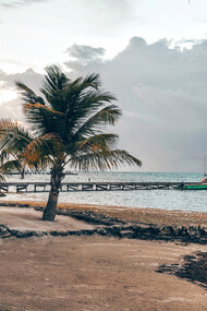Spiaggia con Palme in Belize, America Centrale 