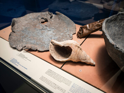 L’île de sable, vue de l’exposition. Avec l'aimable autorisation du Laténium