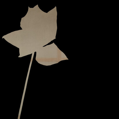 Jannis Kounellis,
Rosa bianca,
1967,
smalto su tela
190 x 201 cm,
Museo del Novecento - Donazione Bertolini