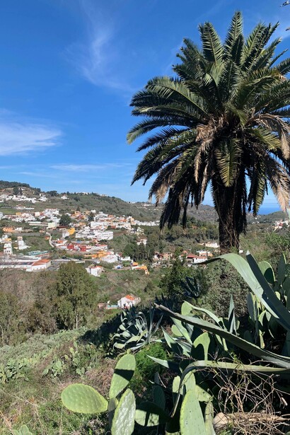 Paesaggio collinare con vegetazione mediterranea, Gran Canaria, Spagna