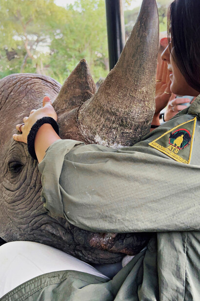 Rinoceronte. Un rinoceronte nero che a due settimane di vita è stato trovato bloccato nel fango da scout di ATS, dopo averlo liberato si sono accorti che era troppo debole per tirare il latte dalla mamma quindi lo hanno tenuto sotto controllo, grazie all’aiuto della veterinaria di AWMC, che l’ha nutrito e rimesso in forma. Quando hanno provato a ricongiungerlo con la mamma lei l’ha rifiutato; quindi, è cresciuto insieme ad una famiglia che abita nella riserva. Vive in giro nella savana ma non si allontana mai più di tanto perché sa che da loro può trovare cibo. Africa