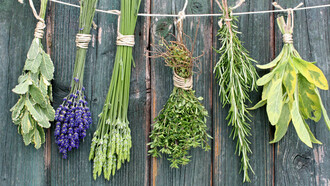Erbe aromatiche per la cucina e la casa
