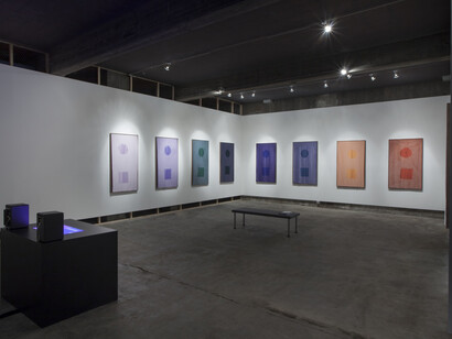 Installation view, Sam Falls, Galleria Franco Noero - in residence, 2015, Photo Sebastiano Pellion di Persano 