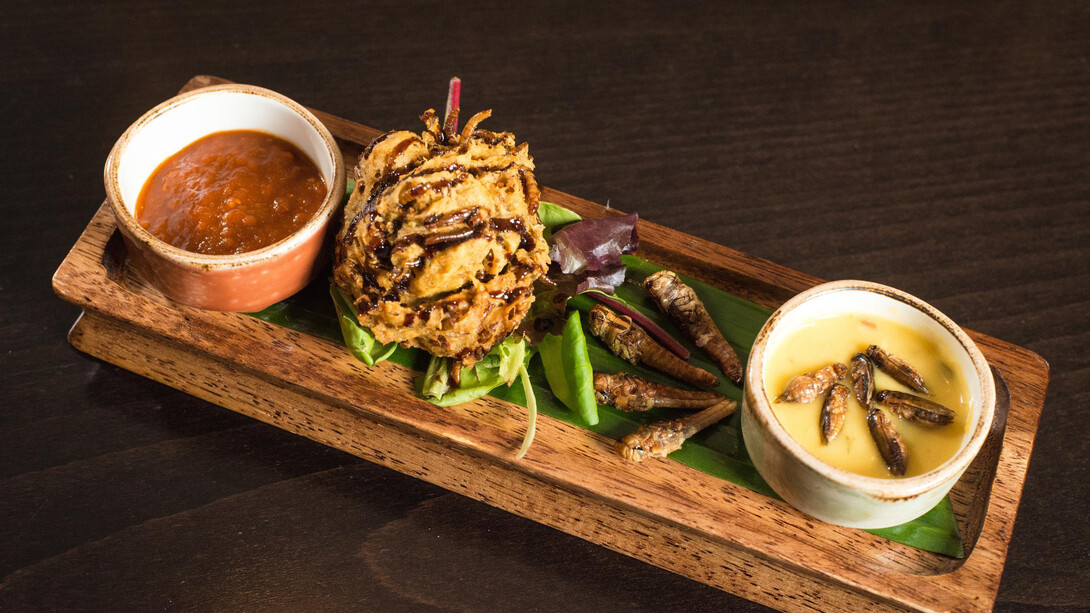 Una composizione di antipasti a base di insetti