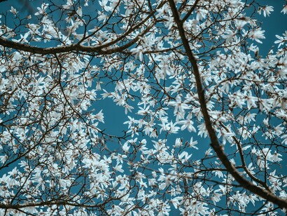 E’ temp/ch’e’ pe ch’e’ fega a posta/ e’ fa turne i cont