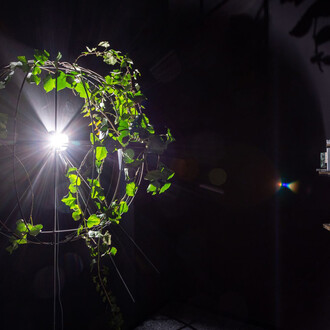 Péter Tamás Halász, planƎt, exhibition view. Courtesy of acb Gallery