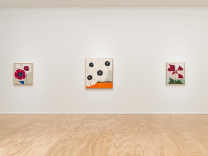 Susumu Kamijo, Fish and flowers, exhibition view. Courtesy of Venus Over Manhattan