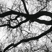 Mariano Zuzunaga, Barcelona (detalle), 2020. Cortesía de La Galería 