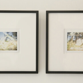 Polaroids: The Disappearing. Courtesy of Nathalie Karg Gallery